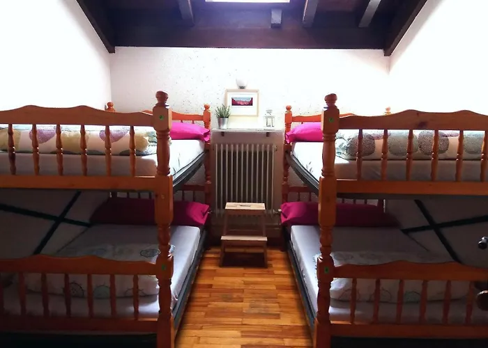 Refugio La Ardilla Real 호스텔 *